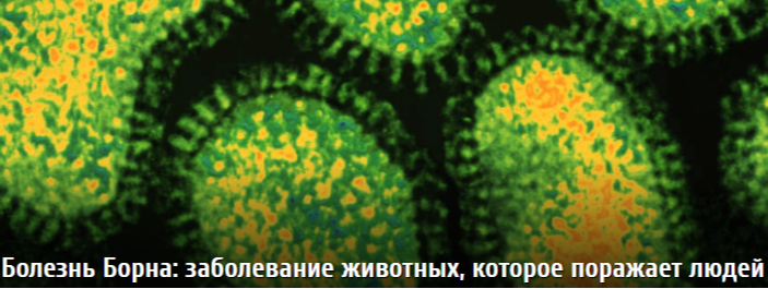 Вот и еще один ” странный” вирус, случайно обнаруженный  на моем  РОФЭС в Сибири (Омск).