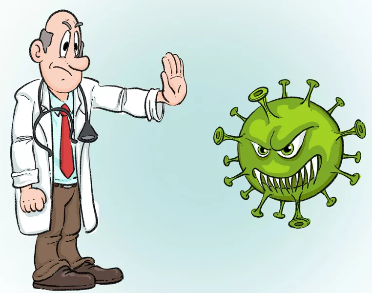 Как «работает» коронавирус  COVID-19 в организме  зараженного человека?